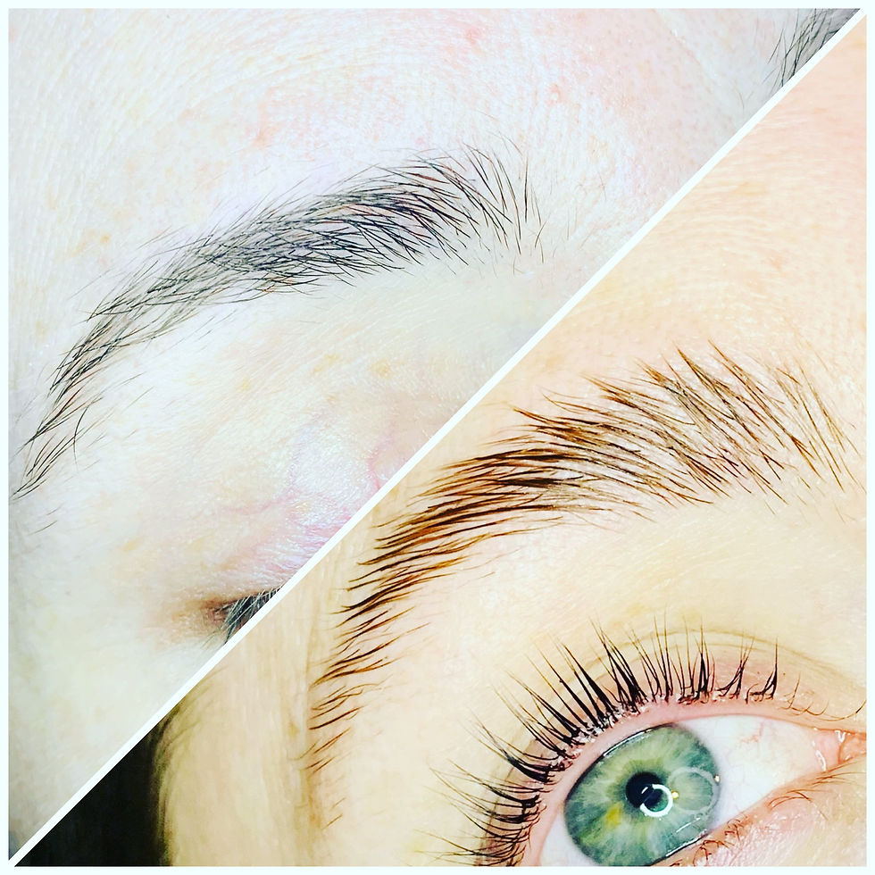 Brow+Lamination
