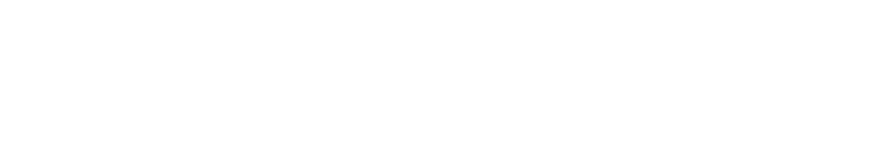 viola-logo-weiß2.png