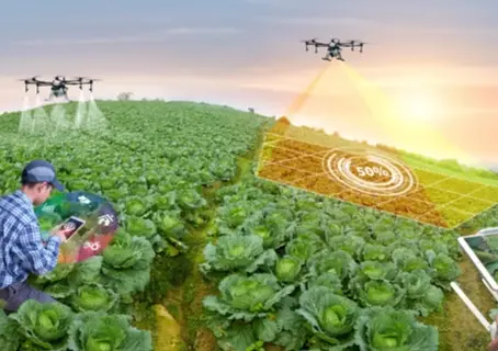 Seguro Agrícola, Acuícola y Ganadero