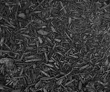 garden mulch