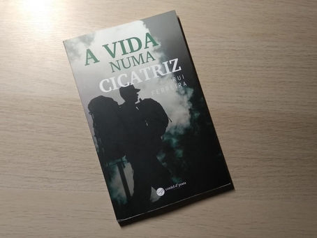 Resenha de "A Vida Numa Cicatriz" de Rui Ferreira