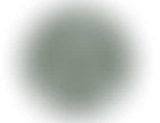 Movimentoportugallimpo