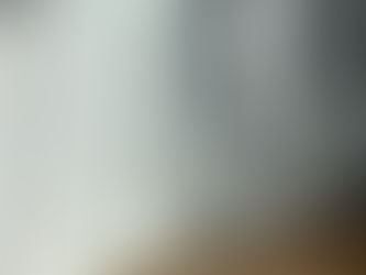 Engraved glass artwork featuring a delicate feather by Bristol artist Jess Bartlett, displayed at BV Studios.