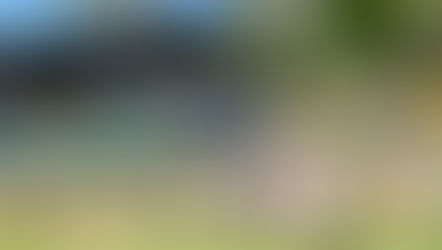 Why Eucalypt Retreat Is the Ultimate South Coast Escape for Teams & Corporate Retreats