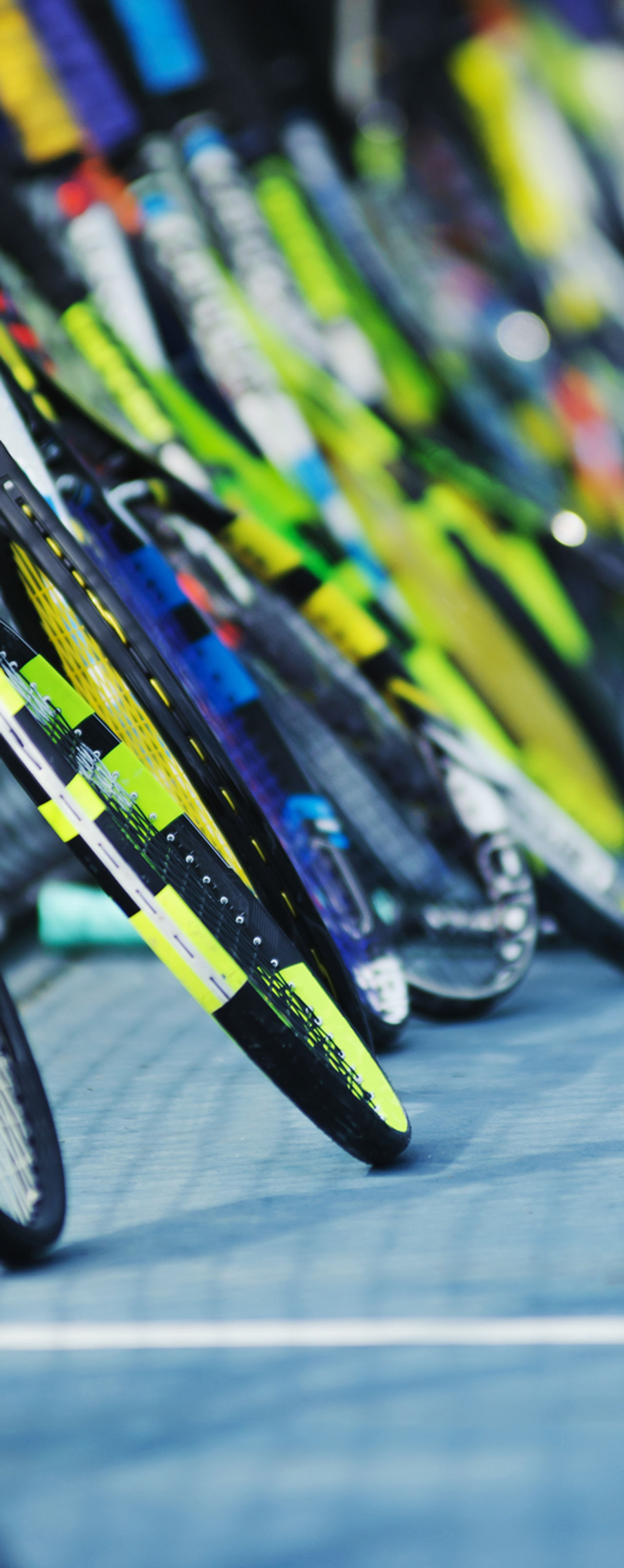 Rackets and Net
