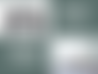 April 2024 Understanding Implications of the LTD Waiting Period