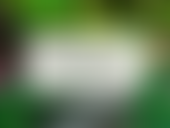 Text reads "Building a Roadmap to Financial Well-Being: Part Two." Set in a colorful garden with tulips and a stone path.