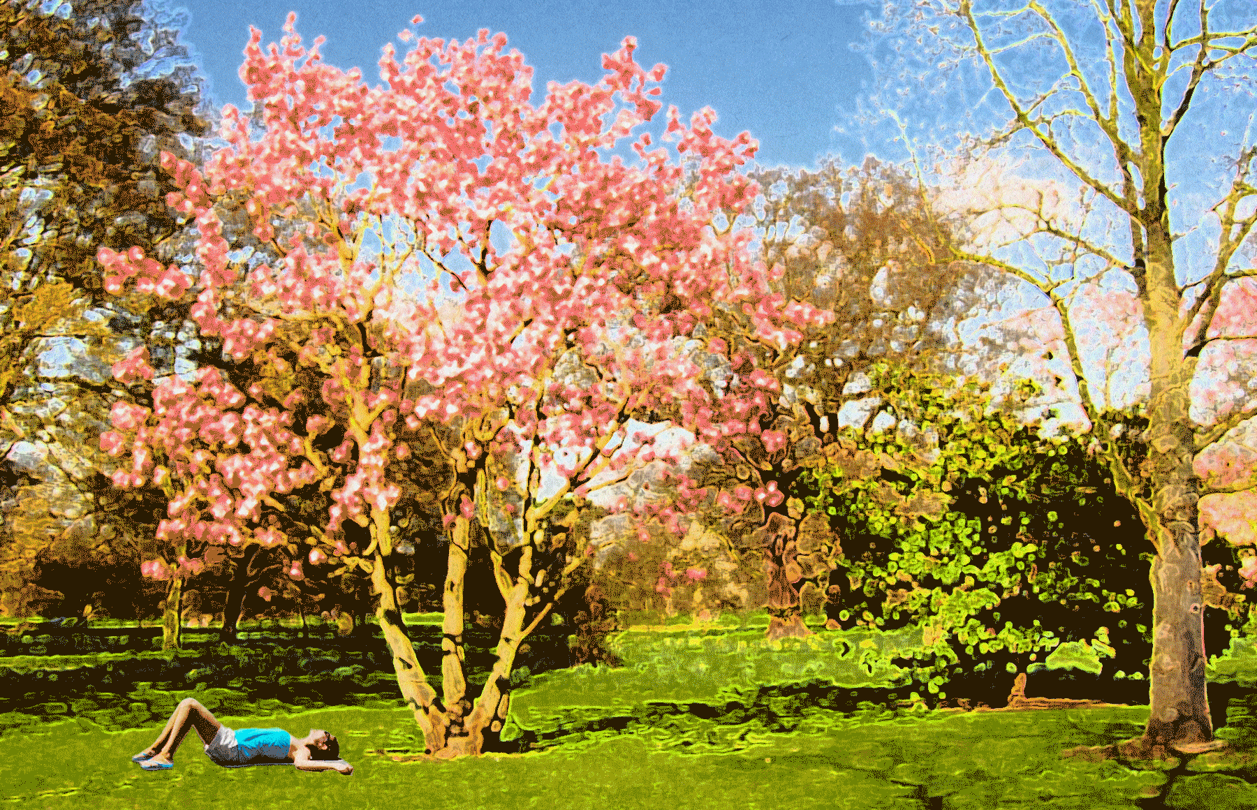 coloredited_karissaho_grass2.gif