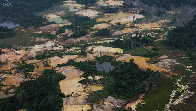Repórter Brasil lança concurso de duas bolsas de R$ 5 mil para reportagens sobre desmatamento