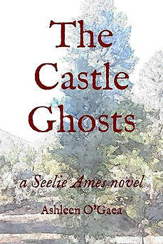 BOOK_COVER_TEMPLATE.png