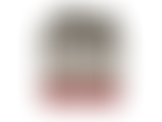 CHURCH PLANTING FOUNDATION: DOCTRINE