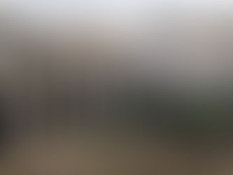 JUDICIAL REVIEW SUCCESS: A LESSON FROM HISTORY AND A MESSAGE FOR TODAY