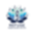 RTRI with Shadow.png
