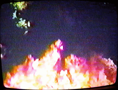 af8ec92d8dbabc85e5c00cc25d6c2e87.gif