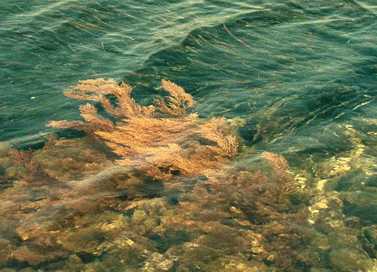 6e6028da1f46b7999042488826d5fb8e.gif