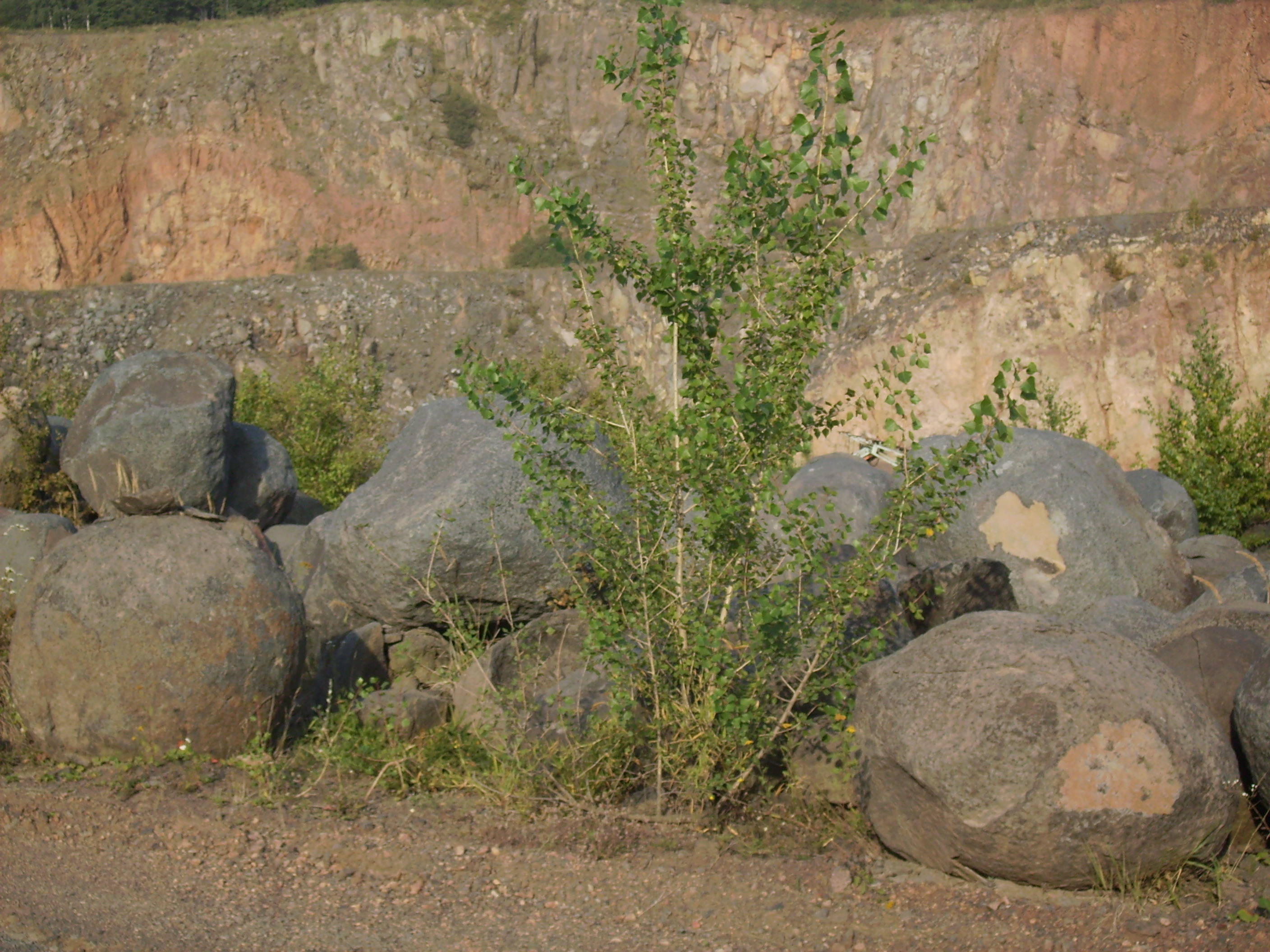 Impressionen pauliberg