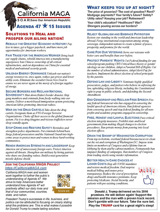 A47-15 Issues Single Page View 8_edited.