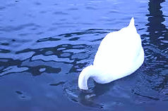 lataus (4)_edited_edited.jpg