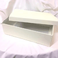 ivory-380x260x110.gif