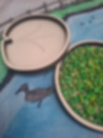 Pond sensory