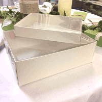 pelle-biano-trans-cover-gro.gif