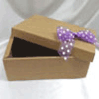 corr-300x200x100.gif