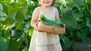 LE POTAGER DES PETITS ET GRANDS
