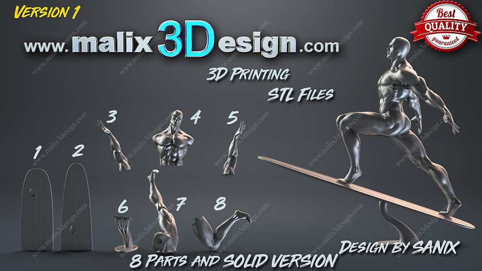 Miniaturbild: SILVER SURFER, MARVEL, 1/4-1/24, FIGUR, FAN ART, 3D-DRUCK, STATUE, SANIX3D, MFW