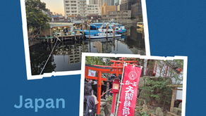 Japan 2026 – What’s New?