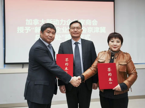 荣誉授任:赵娟女士担任商会京津冀总代表