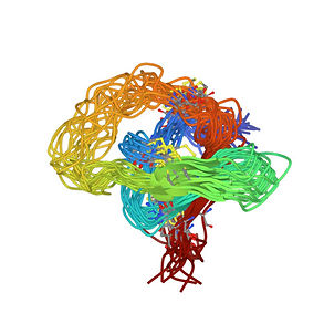 Proteasen zijn enzymen die verantwoordelijk zijn voor de hydrolyse van peptidebindingen in eiwitten en peptiden, wat leidt tot de afbraak van deze macromoleculen in kleinere fragmenten of aminozuren. Proteasen zijn betrokken bij veel biologische processen, waaronder de spijsvertering, bloedstolling, cellulaire signalering en eiwitomzet.