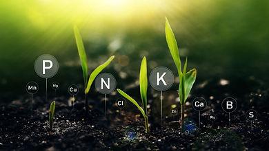 Een biostimulant is een stof of micro-organisme die, wanneer toegepast op planten of bodem, natuurlijke processen stimuleert om de opname van voedingsstoffen, de efficiëntie, de tolerantie voor abiotische stress en de gewaskwaliteit te verbeteren. Biostimulanten bieden geen directe voeding aan planten, maar bevorderen de groei en de gezondheid door de fysiologische en biochemische mechanismen te verbeteren die de groei en ontwikkeling van planten controleren.