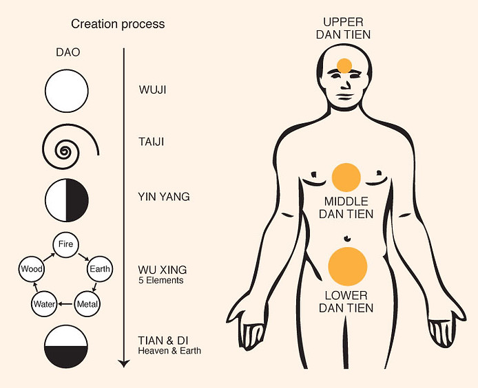 creation_graphic.jpg