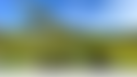 𝙀𝙘𝙤𝙨𝙮𝙨𝙩𝙚𝙢 𝙧𝙚𝙨𝙩𝙤𝙧𝙖𝙩𝙞𝙤𝙣 𝙚𝙭𝙥𝙚𝙧𝙞𝙢𝙚𝙣𝙩 𝙞𝙣 𝙇𝙖𝙣𝙙𝙞𝙣𝙜, 𝙈𝙄𝘽𝙉𝙋