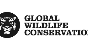 Article about International Tamaraw Conservation Collaboration, December 2019