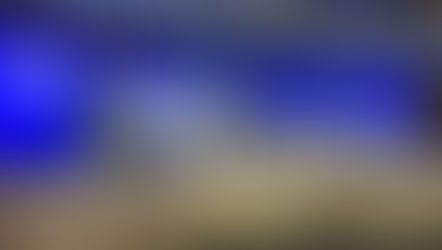 DAF receives a Certificate of Appreciation for its work in supporting tamaraw conservation