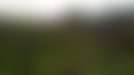 Completion of the Double Observer Point Count operation in Mts Iglit-Baco Natural Park