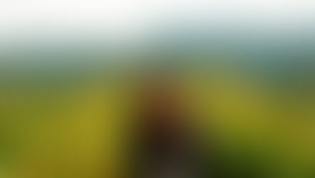 DAF welcome new junior conservationist