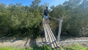 Carleton College Student Engages in Volunteer Learning at D’ABOVILLE Foundation and Demo Farm Inc.