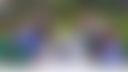 Working on Tamaraw conservation in picturesque French countryside