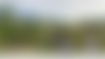 Sharing the growing permaculture initiatives at Station 2