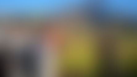 Deployment of cyber trackers and SMART platform to fight illegal activities (April 2019 onward)