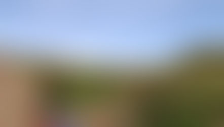 Bale Tagalaput Mangilafang sas fagfatungkudan (IP House for wildlife protection)