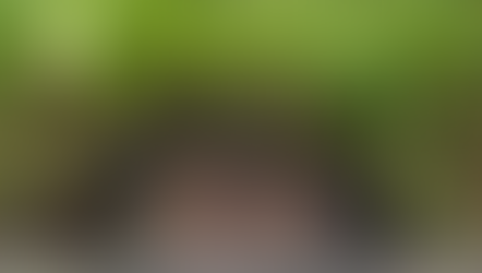 𝗕𝗮𝗻𝗮𝗻𝗮 𝗰𝗶𝗿𝗰𝗹𝗲𝘀 𝗮𝘁 𝗟𝗮𝗻𝗱𝗶𝗻𝗴, 𝗠𝗜𝗕𝗡𝗣