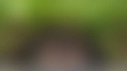 𝗕𝗮𝗻𝗮𝗻𝗮 𝗰𝗶𝗿𝗰𝗹𝗲𝘀 𝗮𝘁 𝗟𝗮𝗻𝗱𝗶𝗻𝗴, 𝗠𝗜𝗕𝗡𝗣