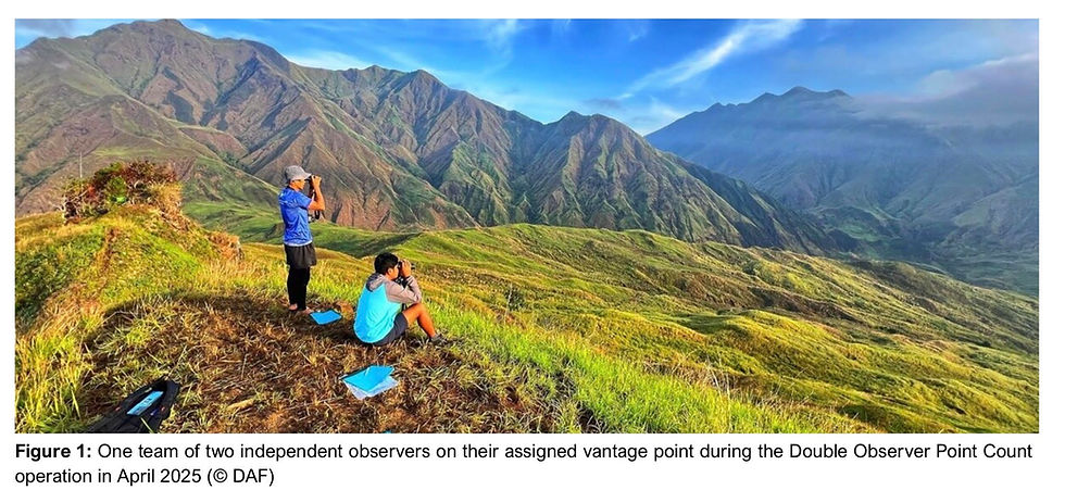 New Tamaraw Census Using Double Observer Method Confirms Population Below 300 at Mounts Iglit-Baco Natural Park - BULLetin Issue 9