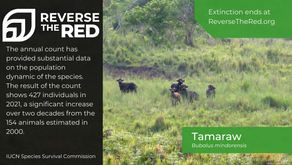 Tamaraw join the successful case studies of the Reverse the Red movement