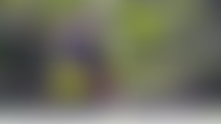 Mindoro-endemic birds at Landing, MIBNP