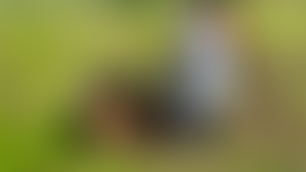 𝙏𝙧𝙚𝙚 𝙜𝙪𝙞𝙡𝙙𝙨 𝙞𝙣 𝙩𝙝𝙚 𝙚𝙘𝙤𝙨𝙮𝙨𝙩𝙚𝙢 𝙧𝙚𝙨𝙩𝙤𝙧𝙖𝙩𝙞𝙤𝙣 𝙚𝙭𝙥𝙚𝙧𝙞𝙢𝙚𝙣𝙩 𝙞𝙣 𝙇𝙖𝙣𝙙𝙞𝙣𝙜, 𝙈𝙄𝘽𝙉𝙋