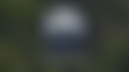 DAF join the "Together for Tamaraw" campaign